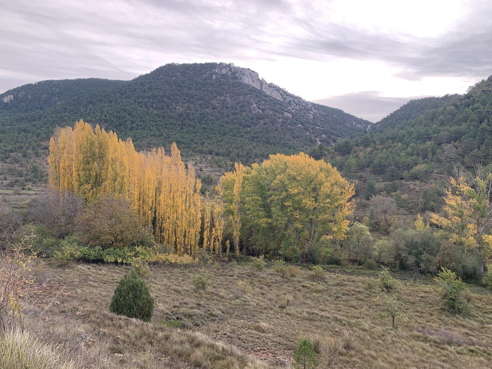 Foto de Ruta 2